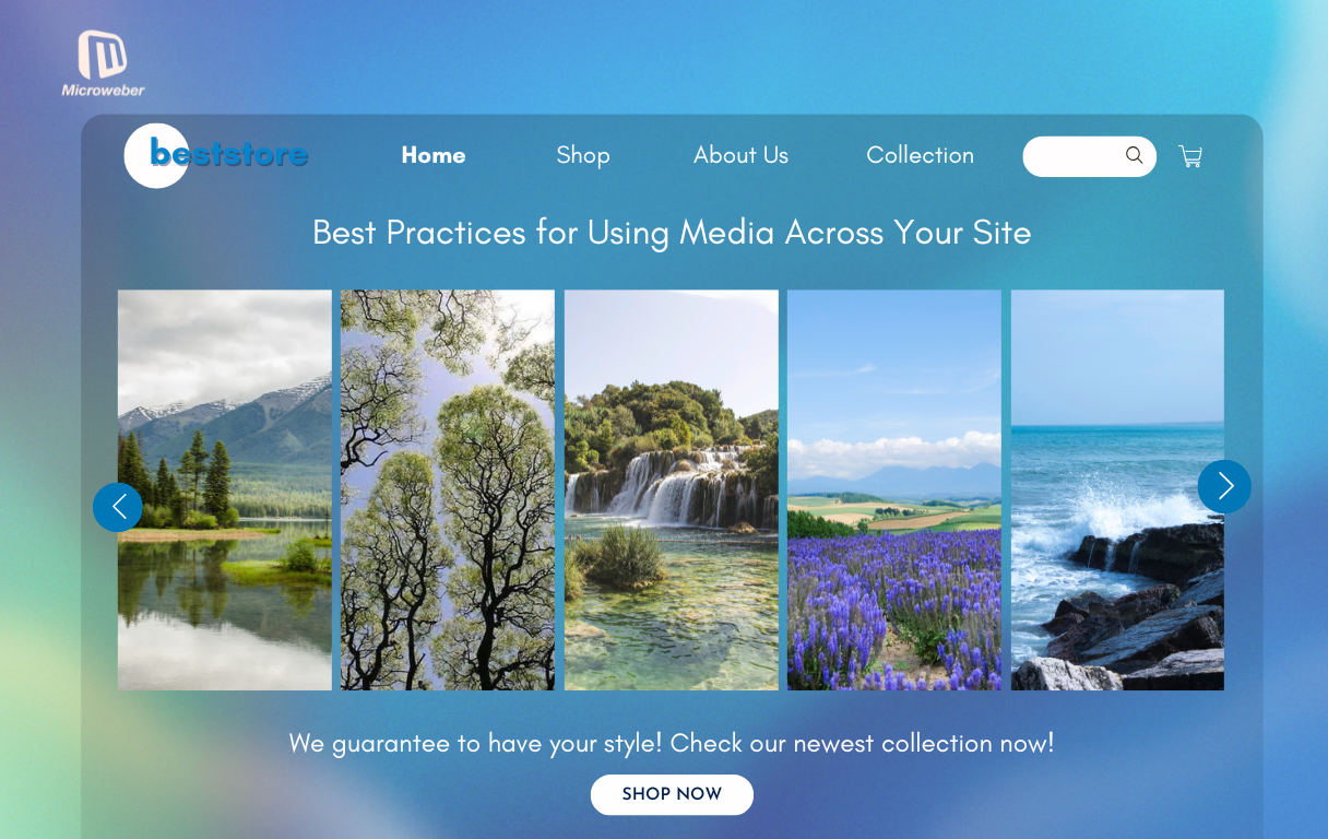 https://microweber.com/userfiles/media/default/5-hidden-features-in-microweber-the-open-source-web-cms-_7.png